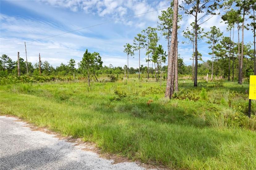 Picture of 30808 Apricot Avenue, Eustis FL 32736