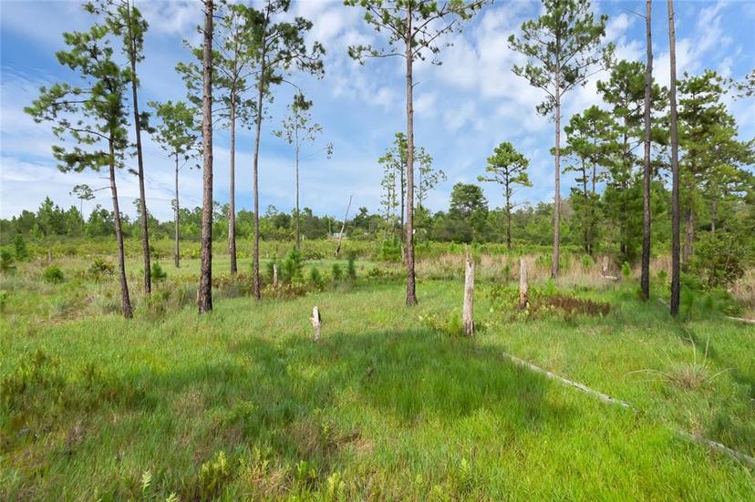 Picture of 30808 Apricot Avenue, Eustis FL 32736