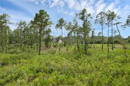 Picture of 30808 Apricot Avenue, Eustis, FL 32736