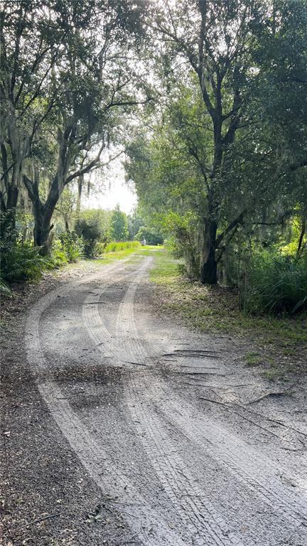 Picture of 800 Moonlight Court, Saint Cloud FL 34771