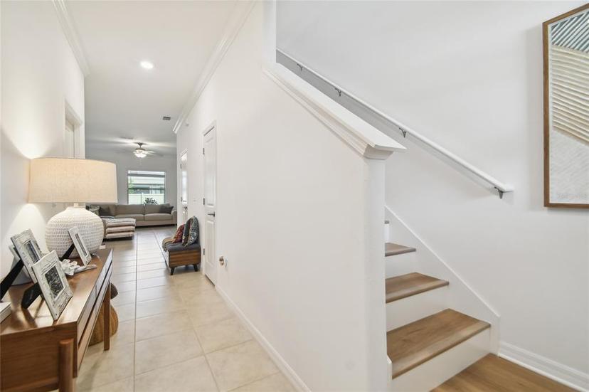 Picture of 21811 Lyonia Lane, Land O Lakes FL 34637