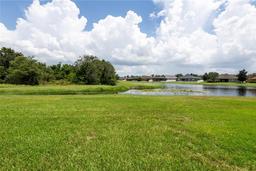 Picture of 10817 Australian Pine Drive, Riverview, FL 33579