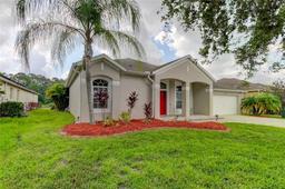 Picture of 25954 Risen Star Drive, Wesley Chapel, FL 33544
