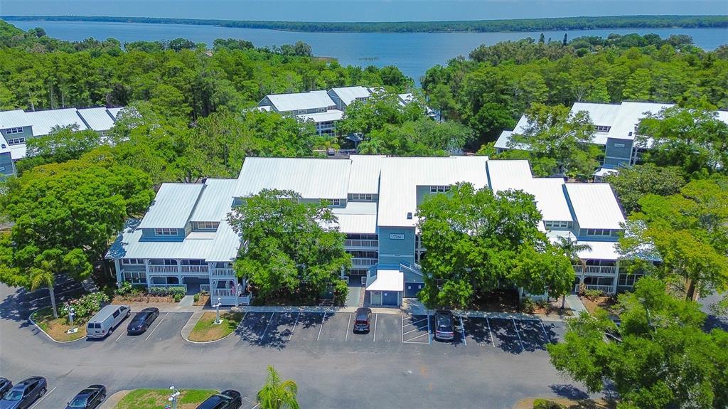 Picture of 2599 Dolly Bay Drive Unit 308, Palm Harbor, FL 34684