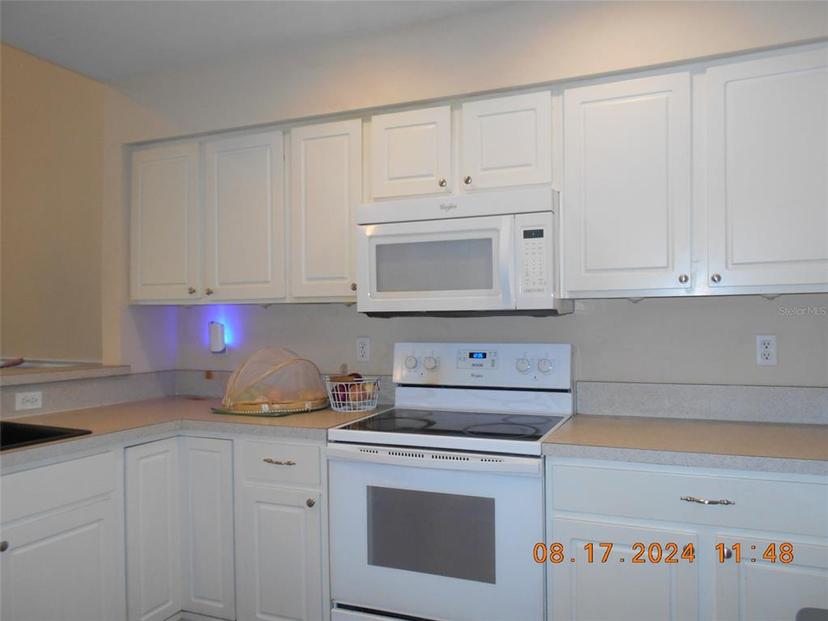Picture of 10836 NW 65Th Way, Alachua FL 32615