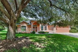 Picture of 36649 Sundance Drive, Grand Island, FL 32735