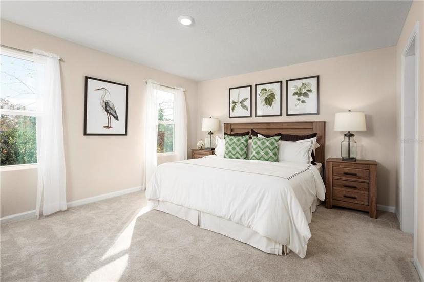 Picture of 11437 Spectacled Drive, New Port Richey FL 34654
