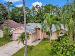 Picture of 7127 Otter Creek Drive, New Port Richey, FL 34655