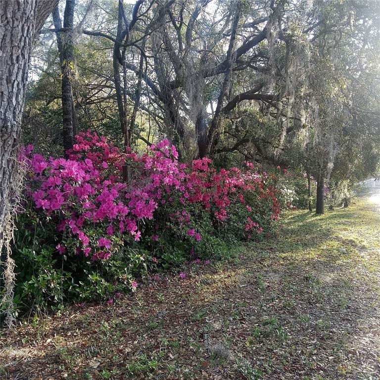 Picture of 27904 SW 114 Place, Newberry FL 32669