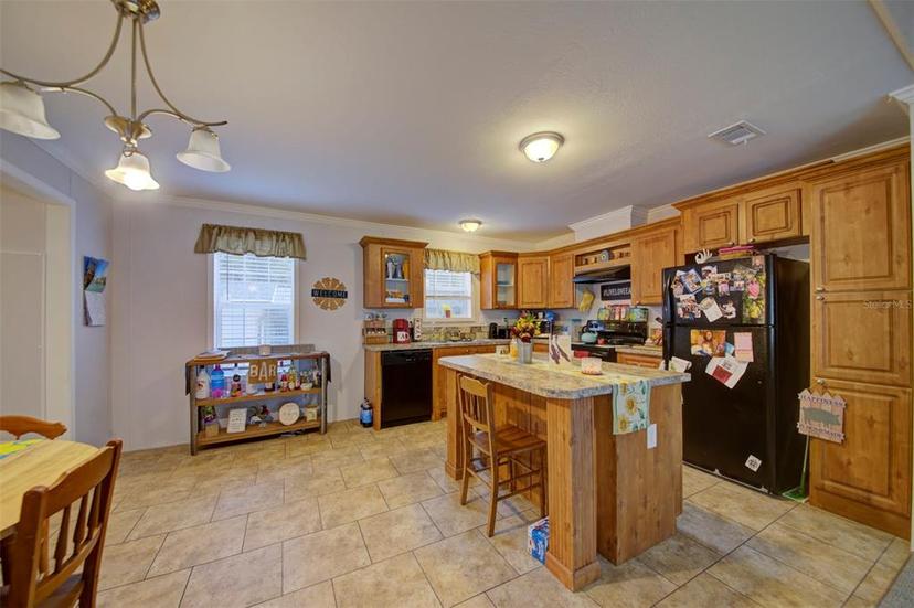 Picture of 5 Wilderness Drive, Lake Panasoffkee FL 33538