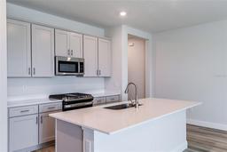 Picture of 10353 Fieldstone Myrtle Way, San Antonio, FL 33576