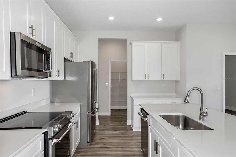 Picture of 10288 Surrey Rose Drive, San Antonio FL 33576