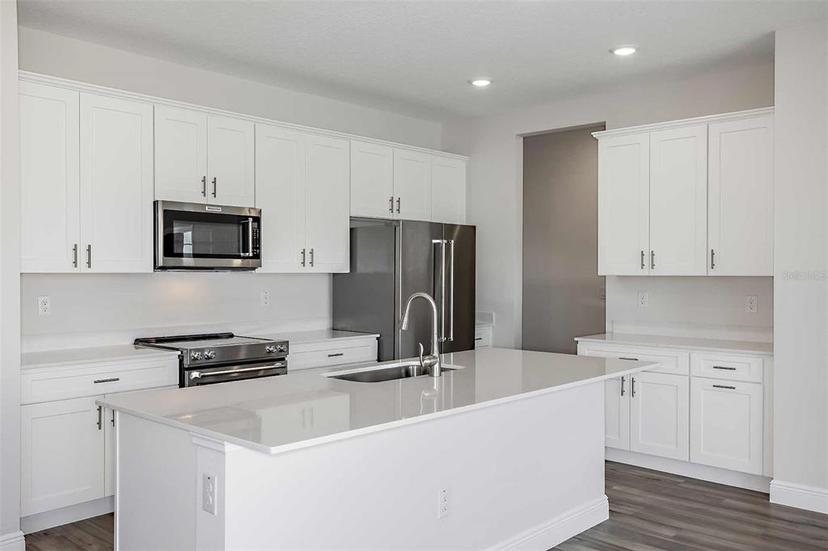 Picture of 10288 Surrey Rose Drive, San Antonio FL 33576