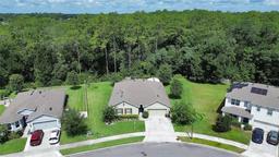 Picture of 317 Nowell Loop, Deland, FL 32724