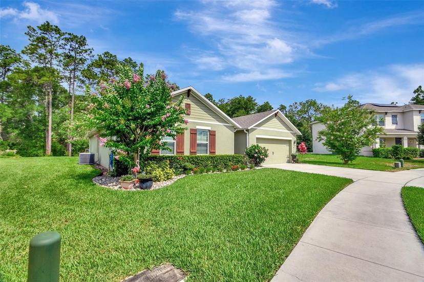 Picture of 317 Nowell Loop, Deland FL 32724