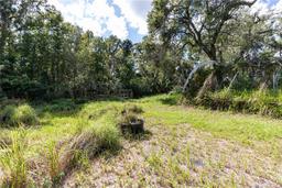 Picture of 12213 S Us Hwy 301, Riverview, FL 33578