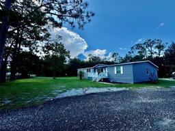 Picture of 30313 Chapel Drive, Wesley Chapel, FL 33545