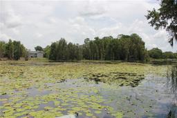 Picture of 6404 Land O Lakes Blvd., Land O Lakes, FL 34638