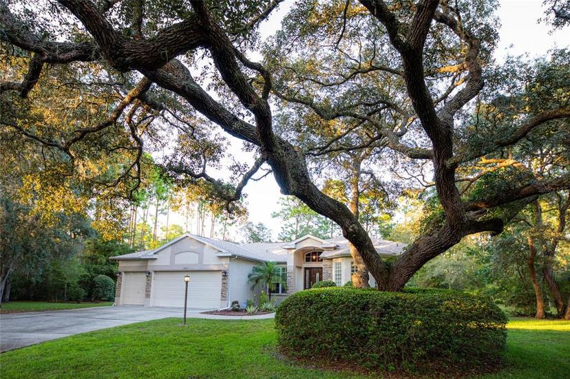 Picture of 15411 Vanessa Lane, Brooksville FL 34604