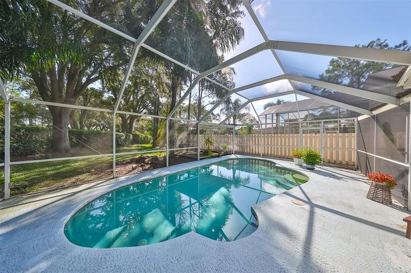 Picture of 17721 Ridgeway Point Place, Tampa FL 33647