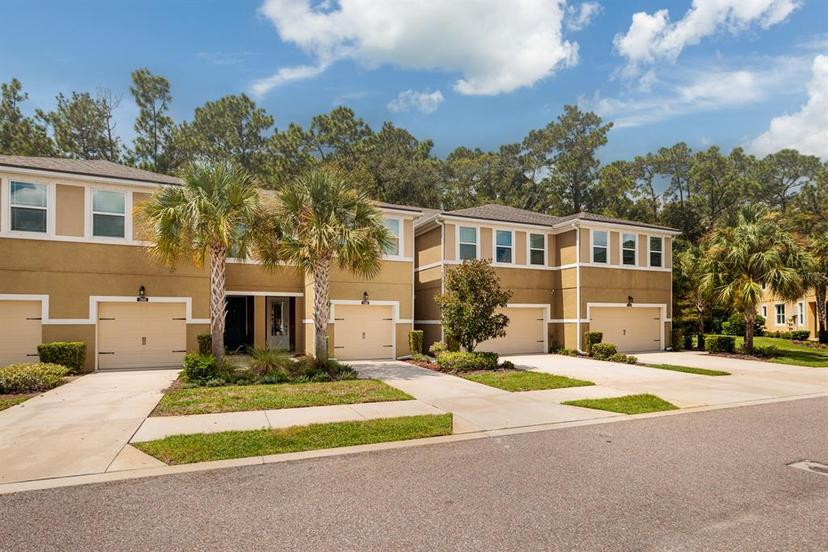 Picture of 17860 Althea Blue Place, Lutz FL 33558