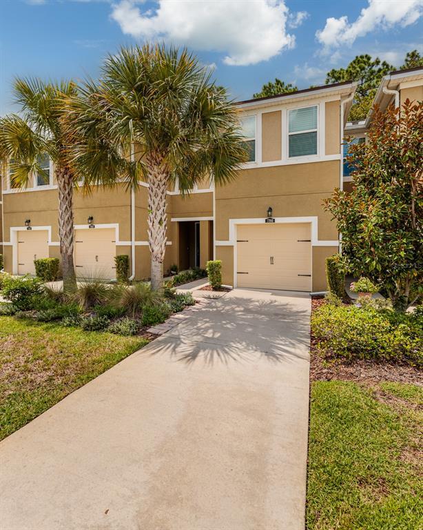 Picture of 17860 Althea Blue Place, Lutz FL 33558