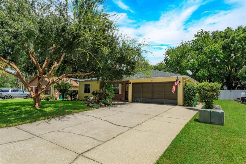 Picture of 331 Douglas Drive, Eustis FL 32726