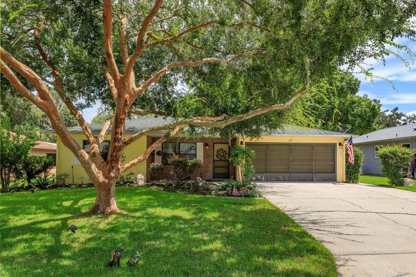 Picture of 331 Douglas Drive, Eustis FL 32726