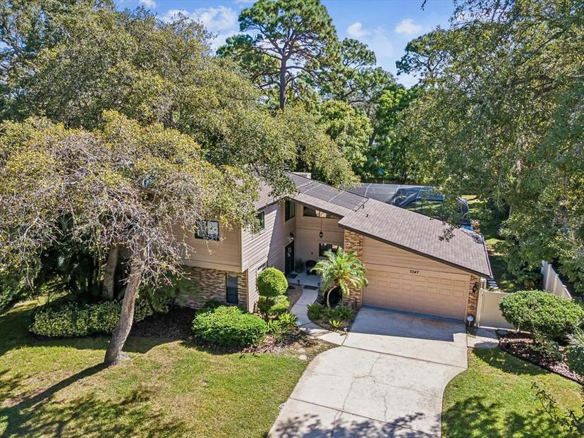 Picture of 3047 Enisglen Drive, Palm Harbor FL 34683
