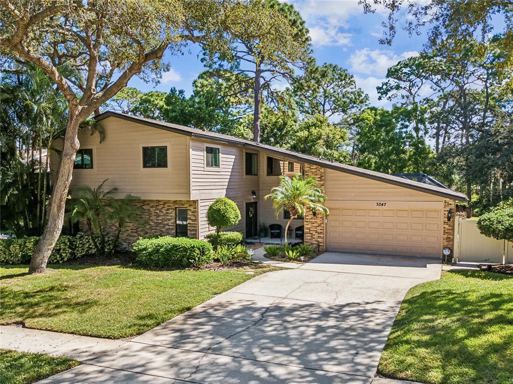Picture of 3047 Enisglen Drive, Palm Harbor, FL 34683
