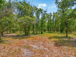 Picture of 0 Castlewood Road Lot 3, Seffner, FL 33584