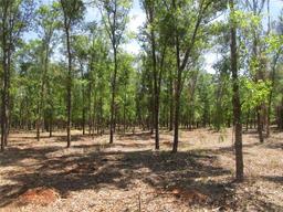 Picture of 0 Castlewood Road Lot 3, Seffner, FL 33584