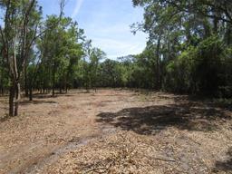 Picture of 0 Castlewood Road Lot 3, Seffner, FL 33584