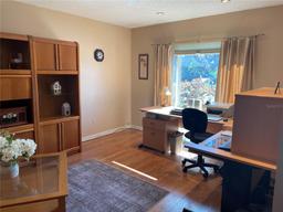 Picture of 4313 Hollow Hill Drive, Tampa, FL 33624