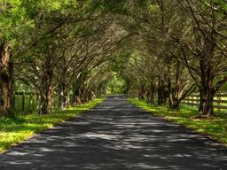 Picture of 15607 SE 47Th Avenue, Summerfield, FL 34491