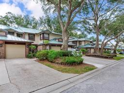 Picture of 2669 Sequoia Terrace, Palm Harbor, FL 34683
