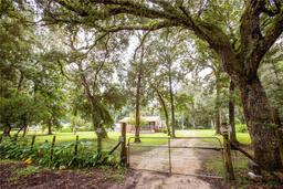 Picture of 24514 Audubon Drive, Brooksville, FL 34601