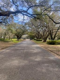 Picture of 577 Dowling Circle, Lady Lake, FL 32159