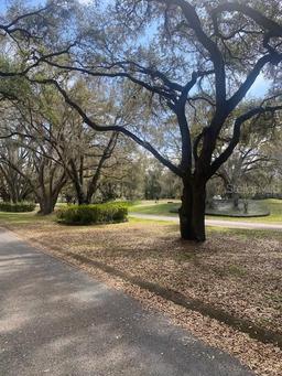 Picture of 577 Dowling Circle, Lady Lake, FL 32159