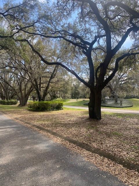 Picture of 577 Dowling Circle, Lady Lake FL 32159