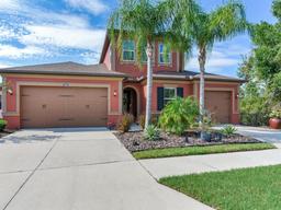 Picture of 31982 Bourneville Terrace, Wesley Chapel, FL 33543