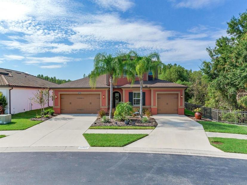 Picture of 31982 Bourneville Terrace, Wesley Chapel FL 33543