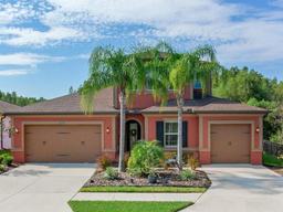 Picture of 31982 Bourneville Terrace, Wesley Chapel, FL 33543
