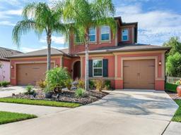 Picture of 31982 Bourneville Terrace, Wesley Chapel, FL 33543