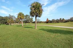 Picture of 217 Anastasia Drive, Kissimmee, FL 34759