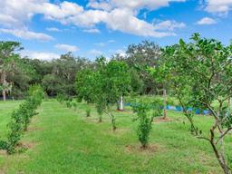 Picture of 7301 Pierce Harwell Road, Plant City, FL 33565