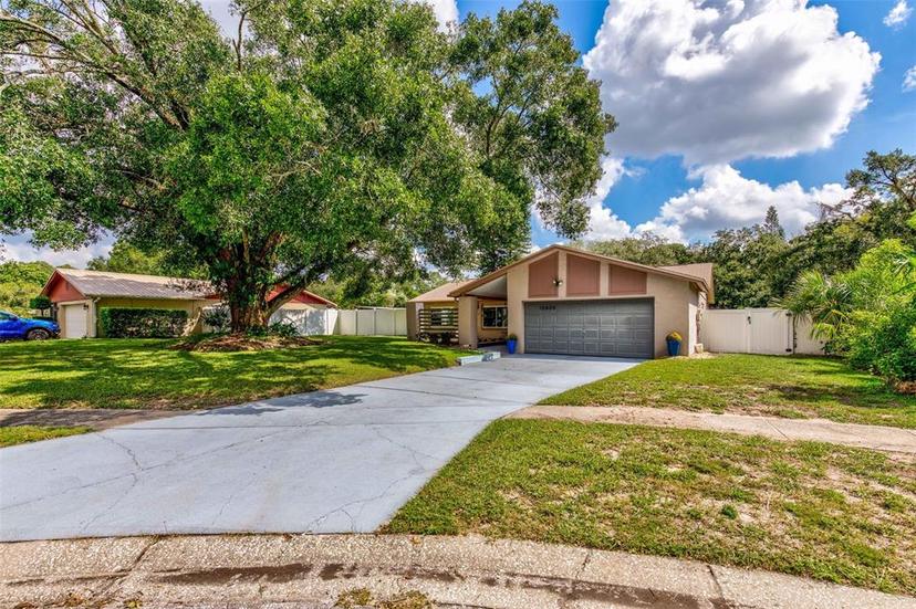 Picture of 13805 Candidate Place, Tampa FL 33613