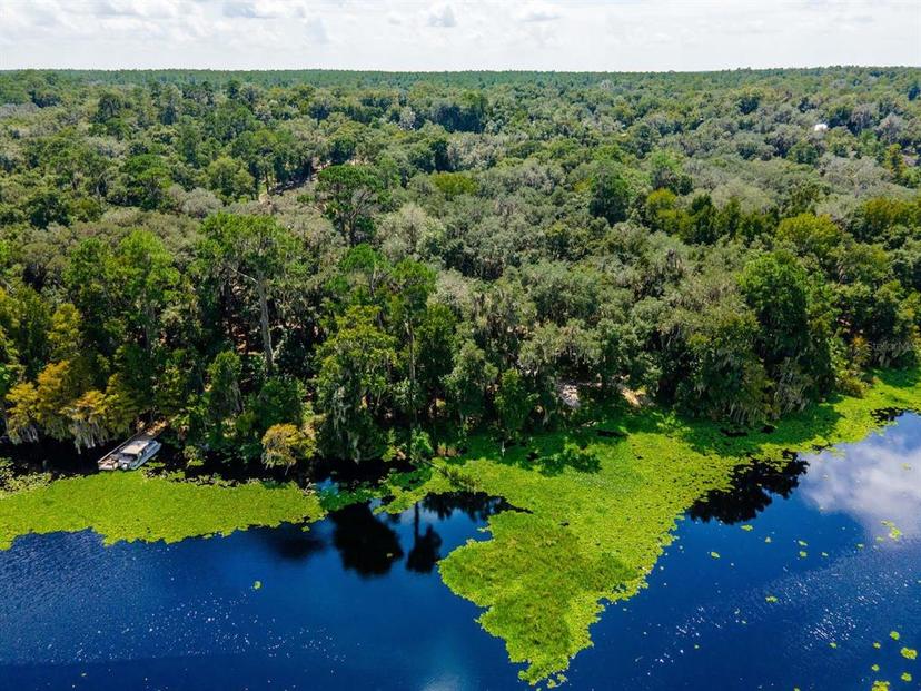 Picture of 24750 NE 177Th Terrace, Fort Mc Coy FL 32134