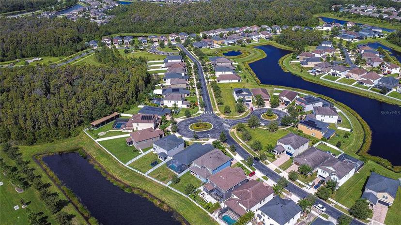 Picture of 19462 Paddock View Drive, Tampa FL 33647