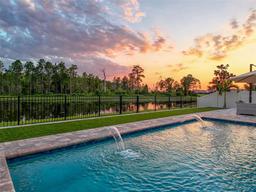 Picture of 11828 Ranchers Gap Drive, Odessa, FL 33556